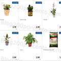 01 Promoções-Descontos-41824.jpg
